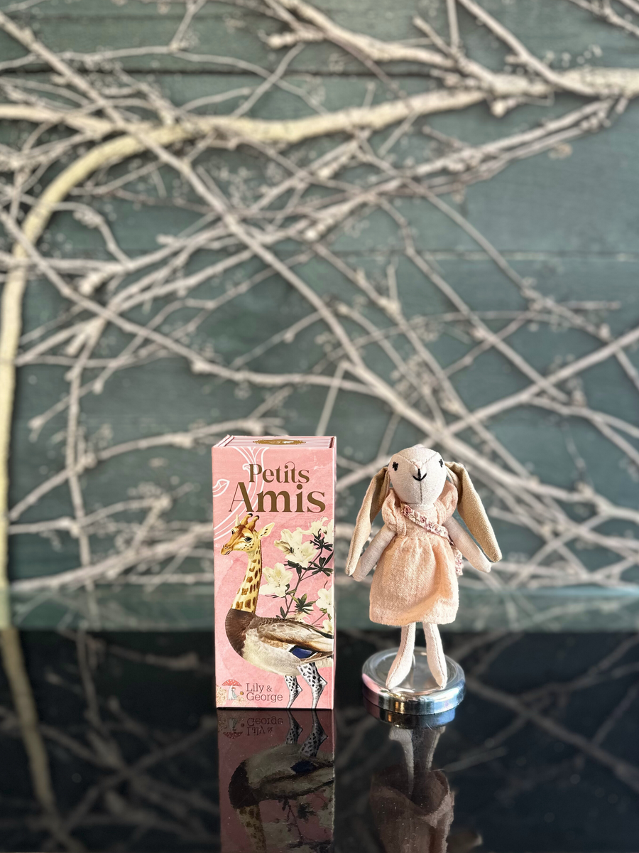 Petits Amis - Ella the Bunny-Local NZ Florist -The Wild Rose | Nationwide delivery, Free for orders over $100 | Flower Delivery Auckland