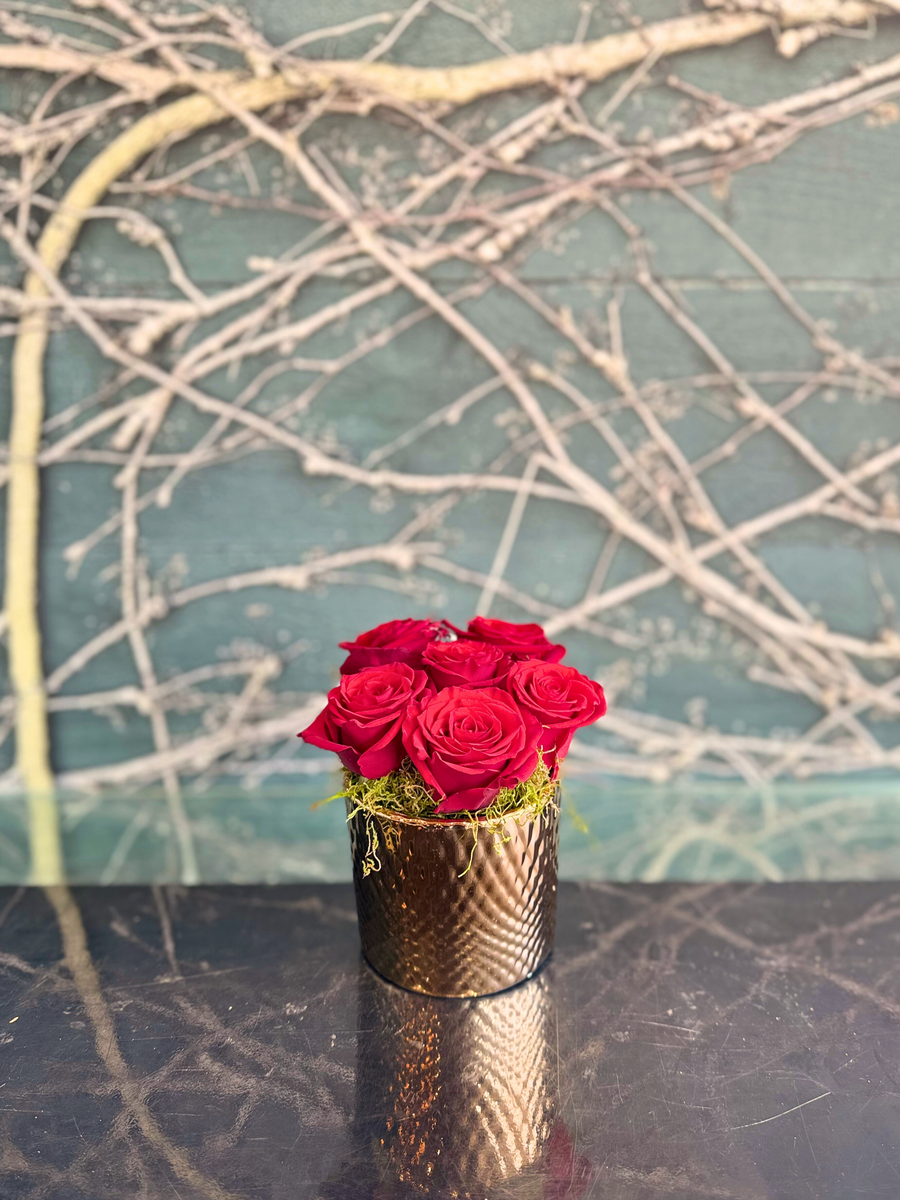 Red Rose Box-Local NZ Florist -The Wild Rose | Nationwide delivery, Free for orders over $100 | Flower Delivery Auckland