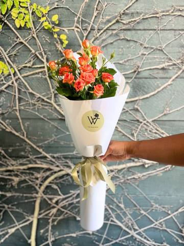 Petite Roses-Local NZ Florist -The Wild Rose | Nationwide delivery, Free for orders over $100 | Flower Delivery Auckland