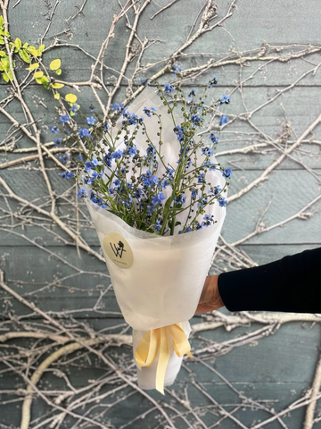 Petite Seasonal Paddock To Posie-Local NZ Florist -The Wild Rose | Nationwide delivery, Free for orders over $100 | Flower Delivery Auckland