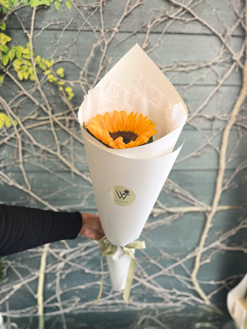 Single Sunflower-Local NZ Florist -The Wild Rose | Nationwide delivery, Free for orders over $100 | Flower Delivery Auckland