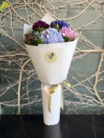 Hydrangeas Bouquet-Local NZ Florist -The Wild Rose | Nationwide delivery, Free for orders over $100 | Flower Delivery Auckland