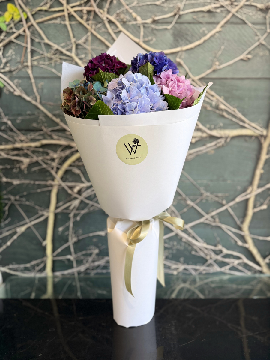 Hydrangeas Bouquet-Local NZ Florist -The Wild Rose | Nationwide delivery, Free for orders over $100 | Flower Delivery Auckland