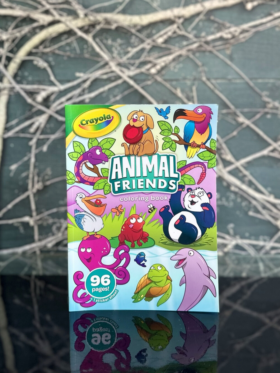 Crayola Animal Friends colouring book-Local NZ Florist -The Wild Rose | Nationwide delivery, Free for orders over $100 | Flower Delivery Auckland