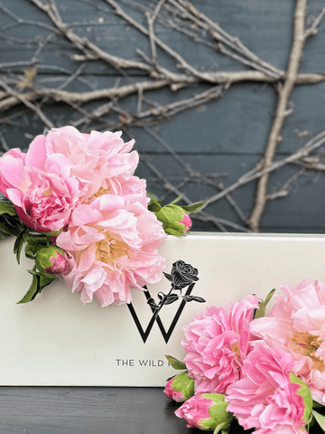 Pretty Peonies-Local NZ Florist -The Wild Rose | Nationwide delivery, Free for orders over $100 | Flower Delivery Auckland